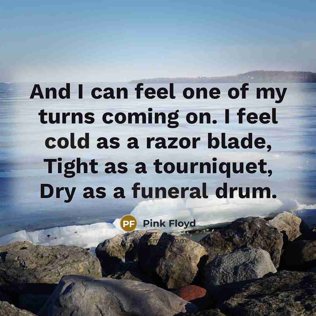 “And I can feel one of my turns coming on.…” quote by Pink Floyd