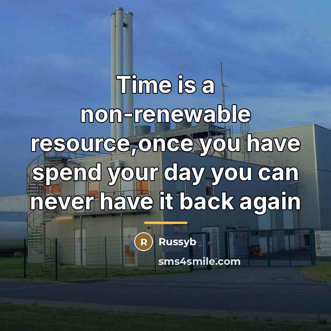 “Time is a non-renewable resource,once you have spend your day…” quote by Russyb