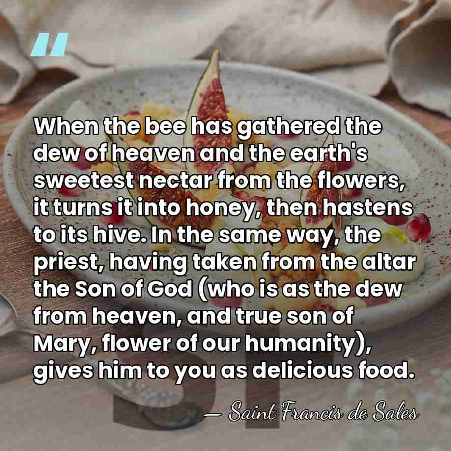When the bee has gathered the dew of heaven and the earth's&hellip; - Saint Francis de Sales