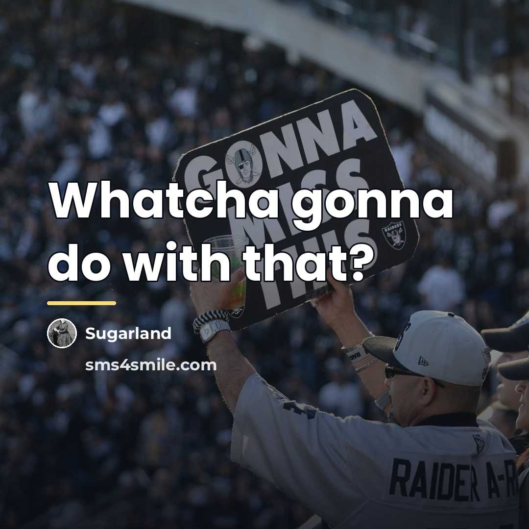 “Whatcha gonna do with that?…” quote by Sugarland