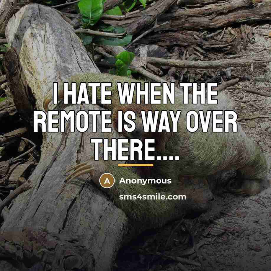 “I hate when the remote is way over there....…” quote by Anonymous