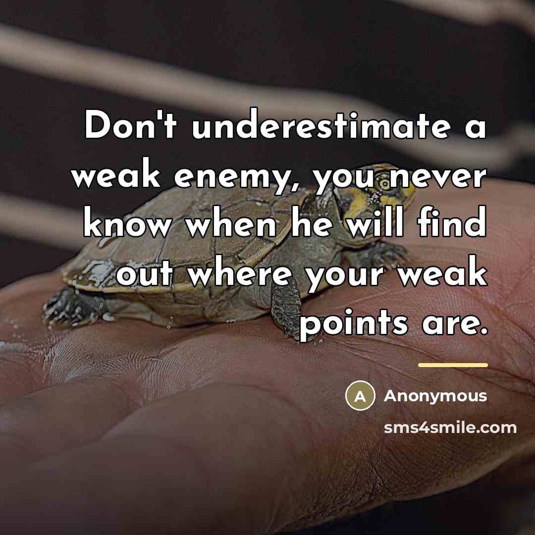 “Don't underestimate a weak enemy, you never know when he…” quote by Anonymous