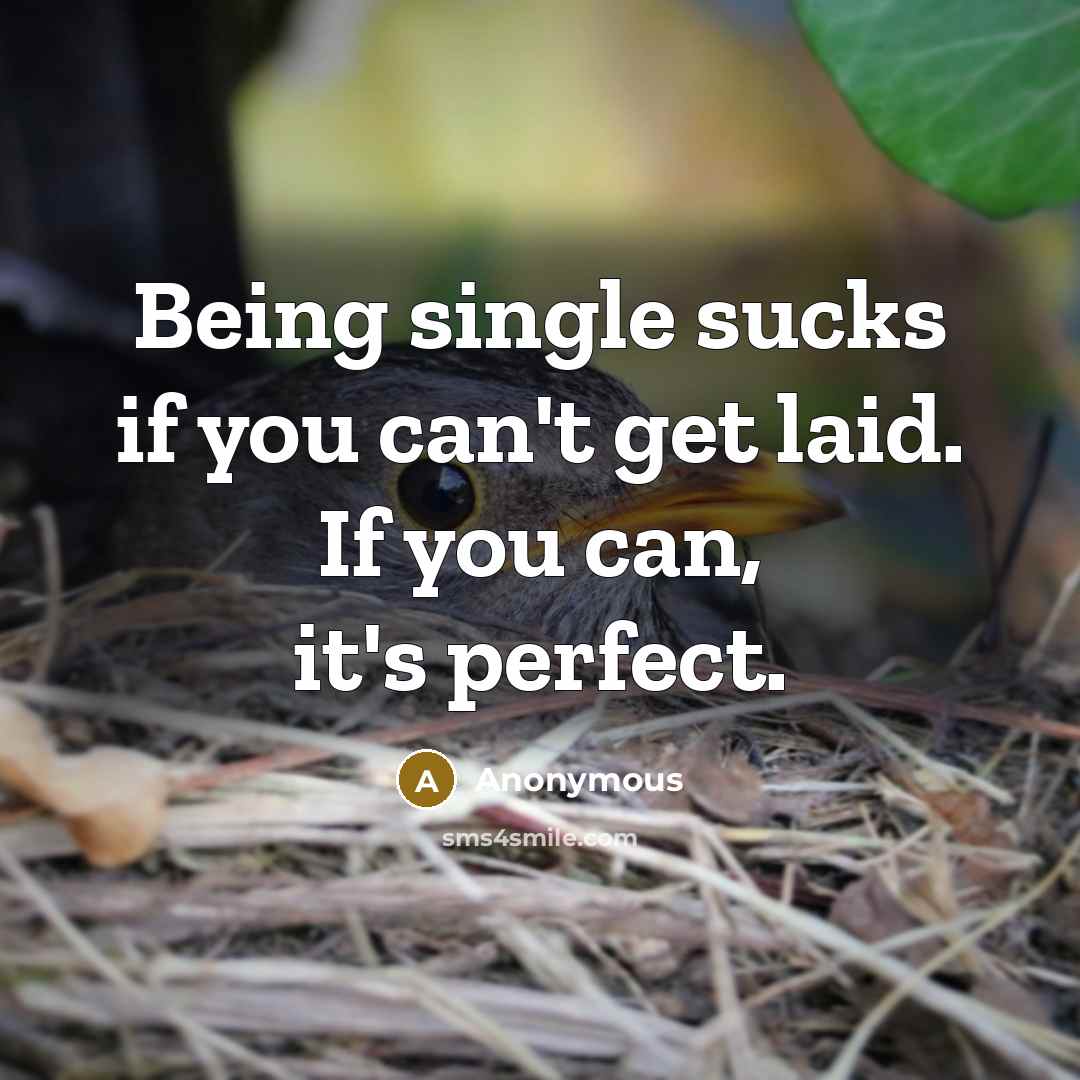 “Being single sucks if you can't get laid. If you can, it's perfect.” quote by Anonymous