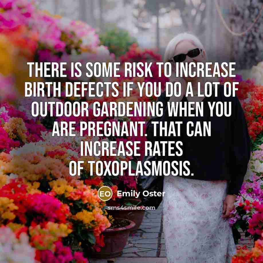 “There is some risk to increase birth defects if you…” quote by Emily Oster