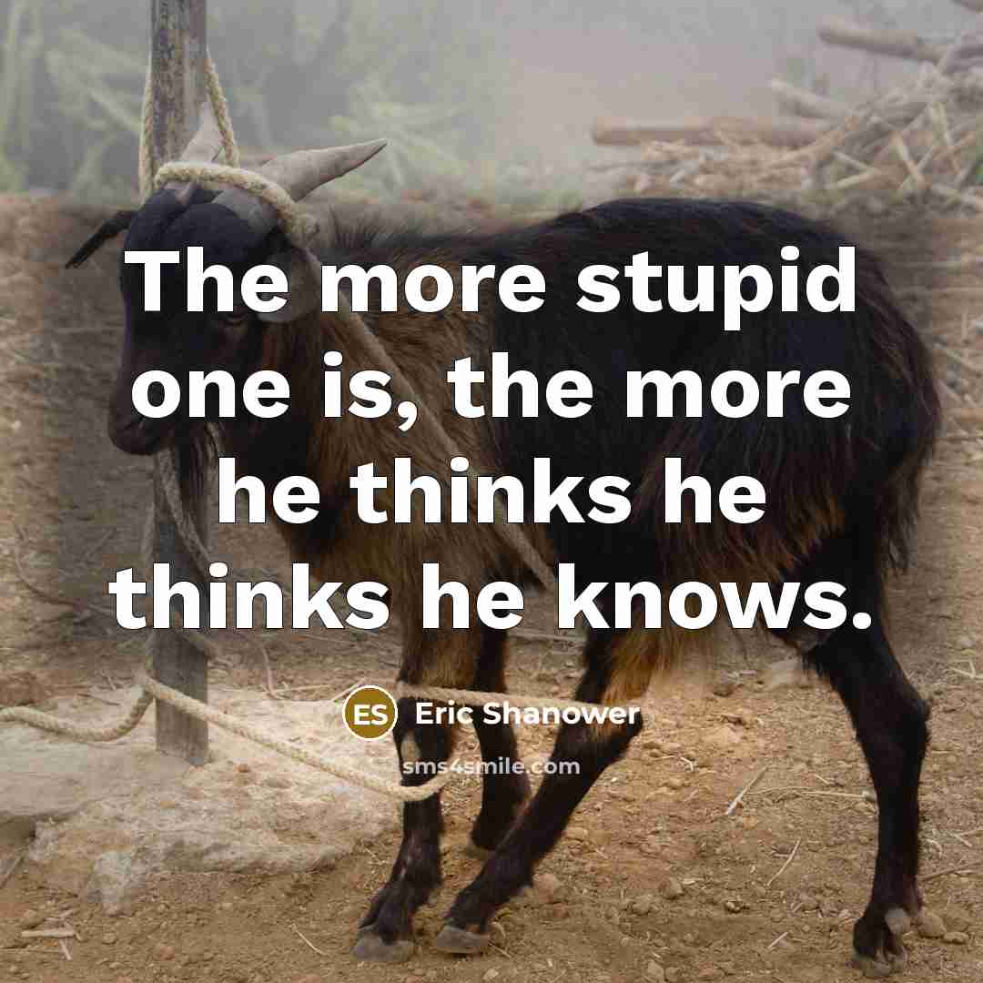 “The more stupid one is, the more he thinks he thinks he knows.” quote by Eric Shanower