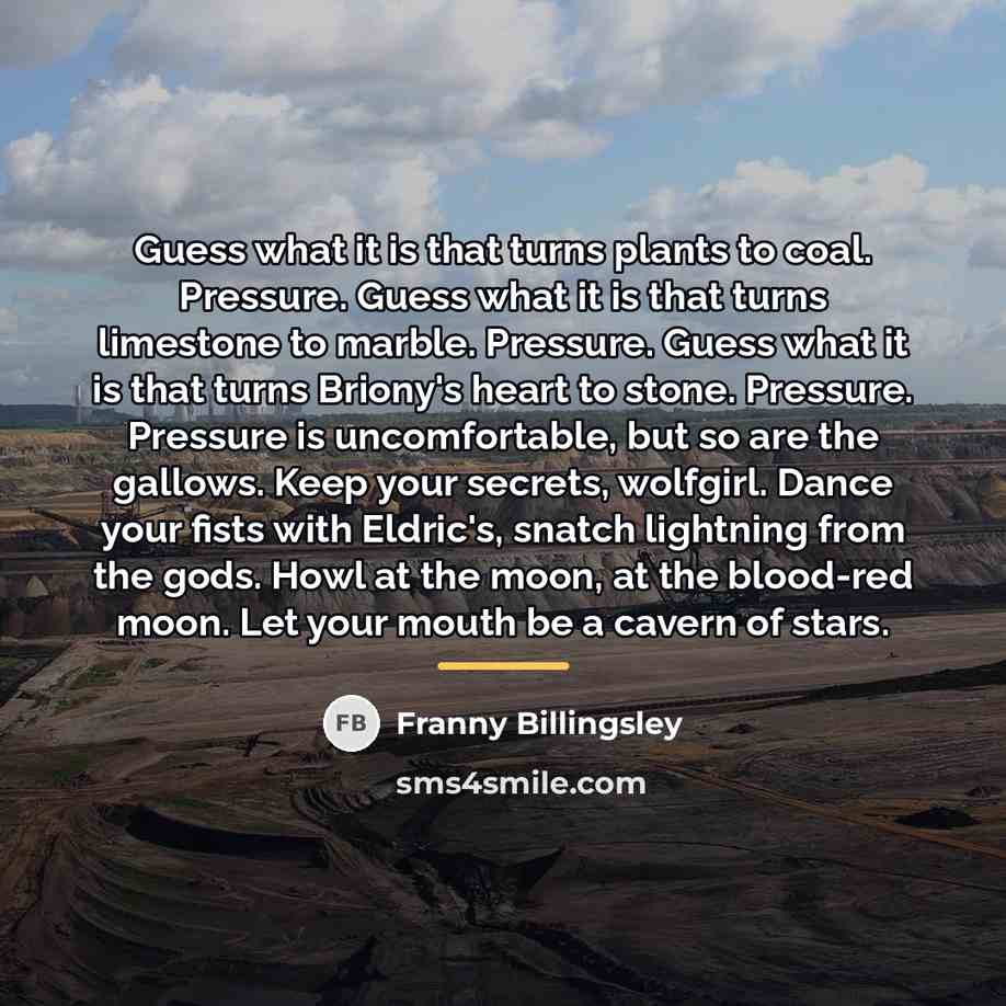 “Guess what it is that turns plants to coal. Pressure.…” quote by Franny Billingsley