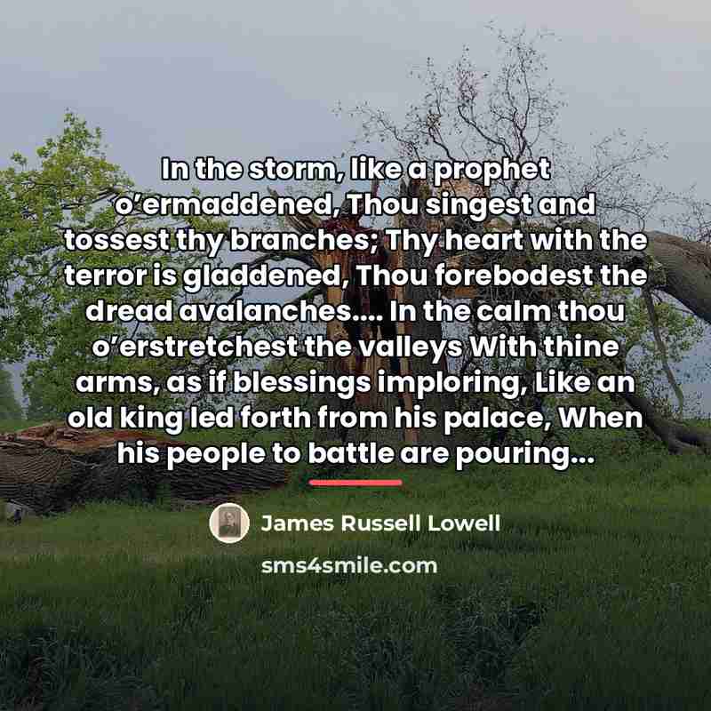 “In the storm, like a prophet o’ermaddened, Thou singest and…” quote by James Russell Lowell