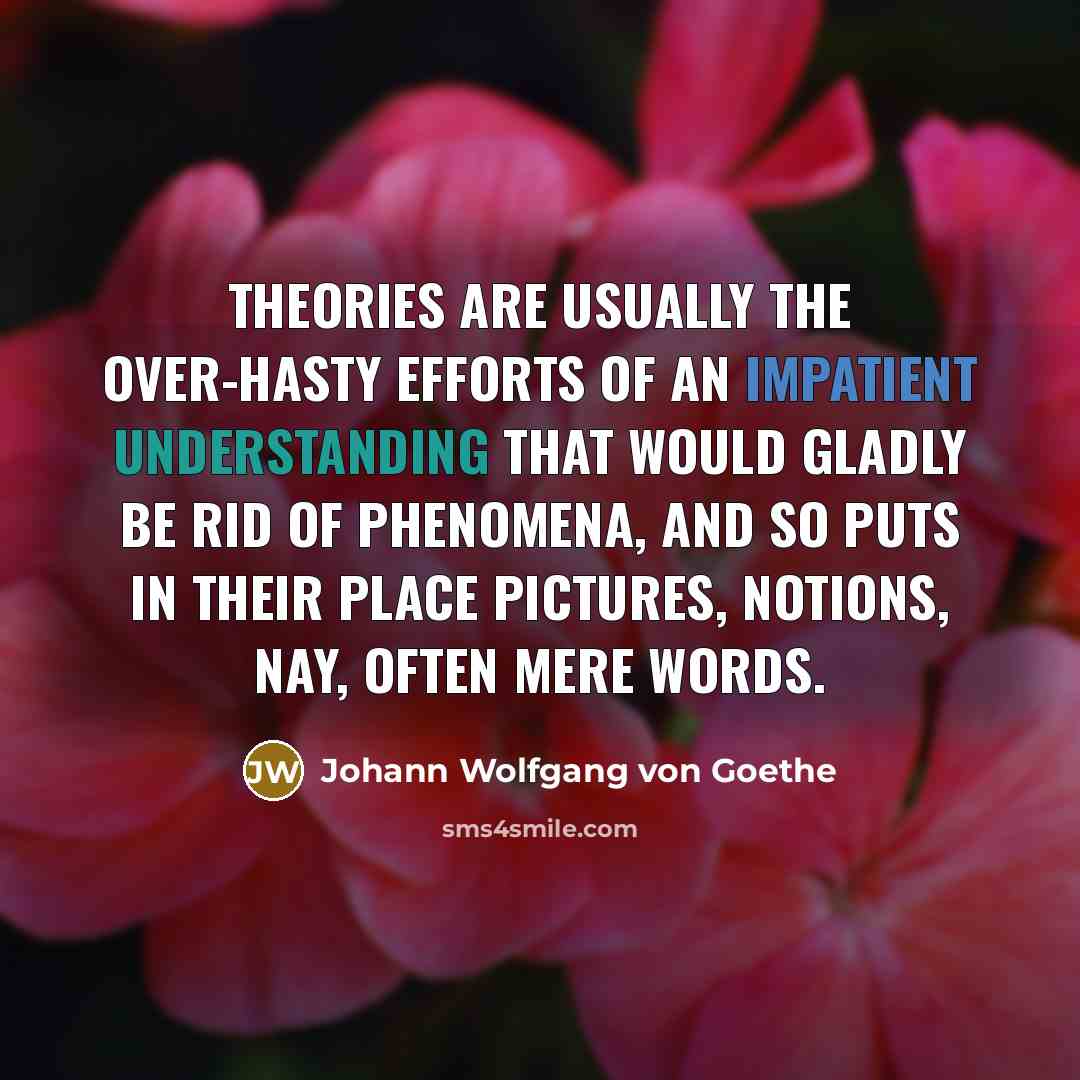 “Theories are usually the over-hasty efforts of an impatient understanding…” quote by Johann Wolfgang von Goethe