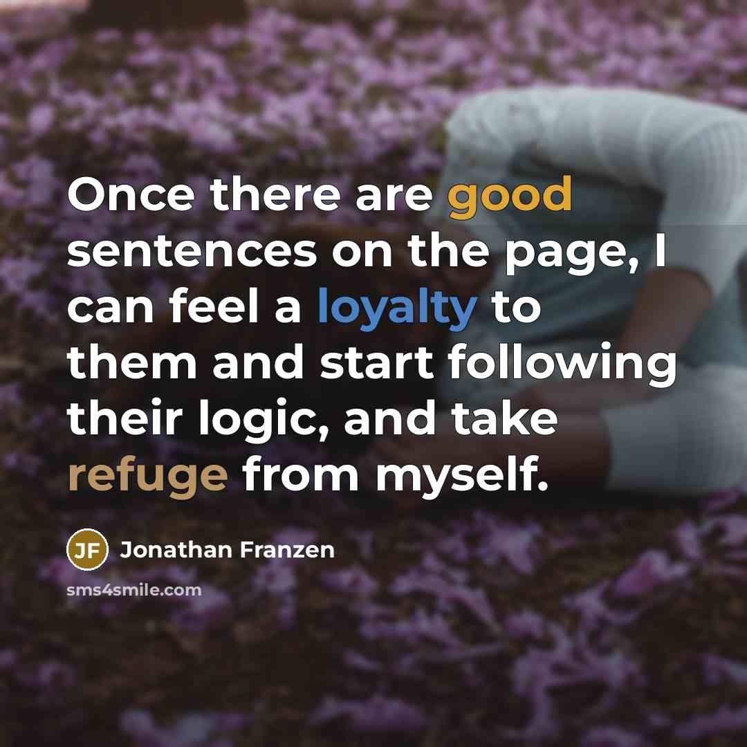 “Once there are good sentences on the page, I can…” quote by Jonathan Franzen