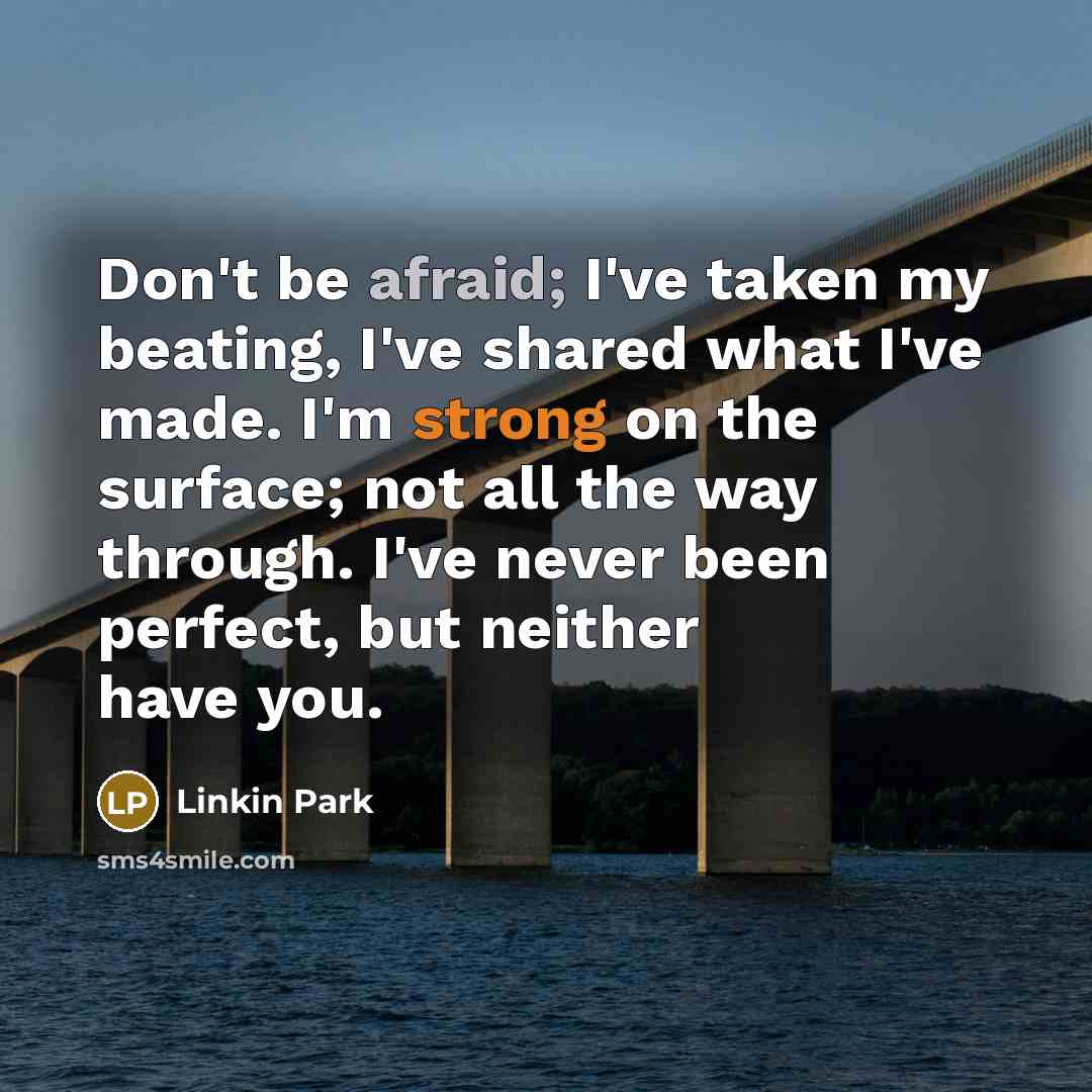 “Don't be afraid; I've taken my beating, I've shared what…” quote by Linkin Park