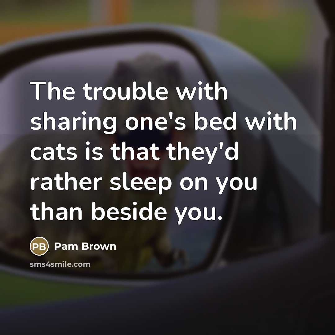 “The trouble with sharing one's bed with cats is that…” quote by Pam Brown