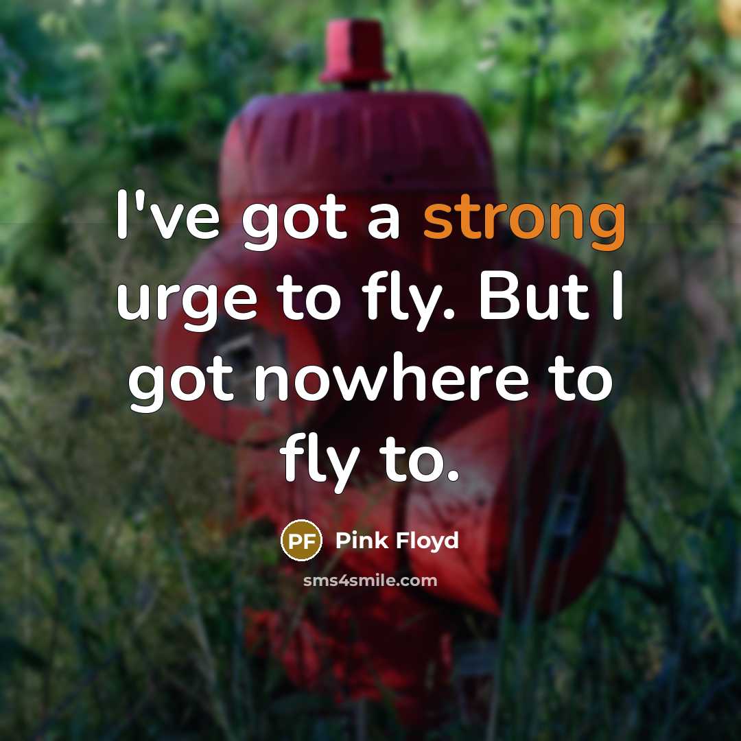 “I've got a strong urge to fly. But I got…” quote by Pink Floyd