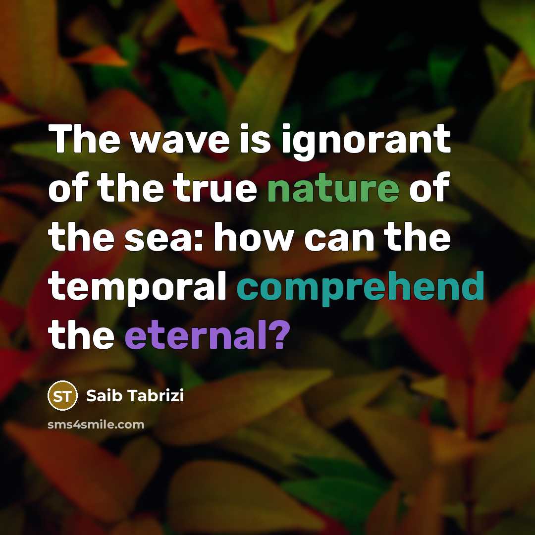 “The wave is ignorant of the true nature of the…” quote by Saib Tabrizi
