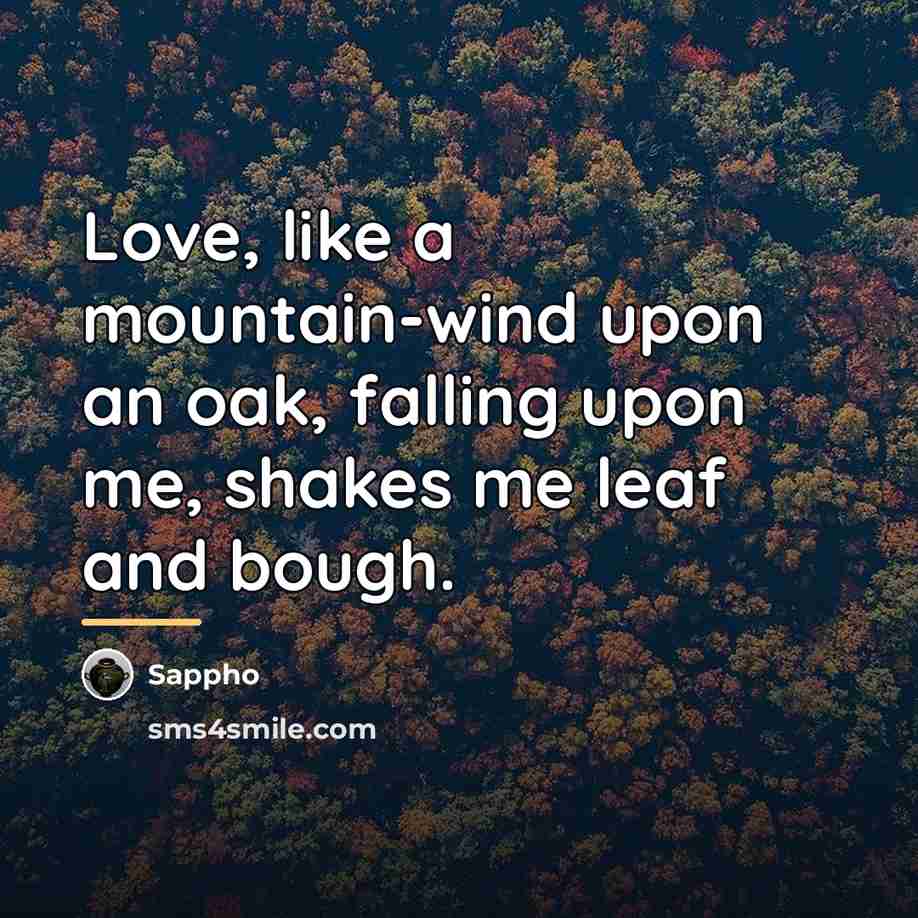 “Love, like a mountain-wind upon an oak, falling upon me,…” quote by Sappho