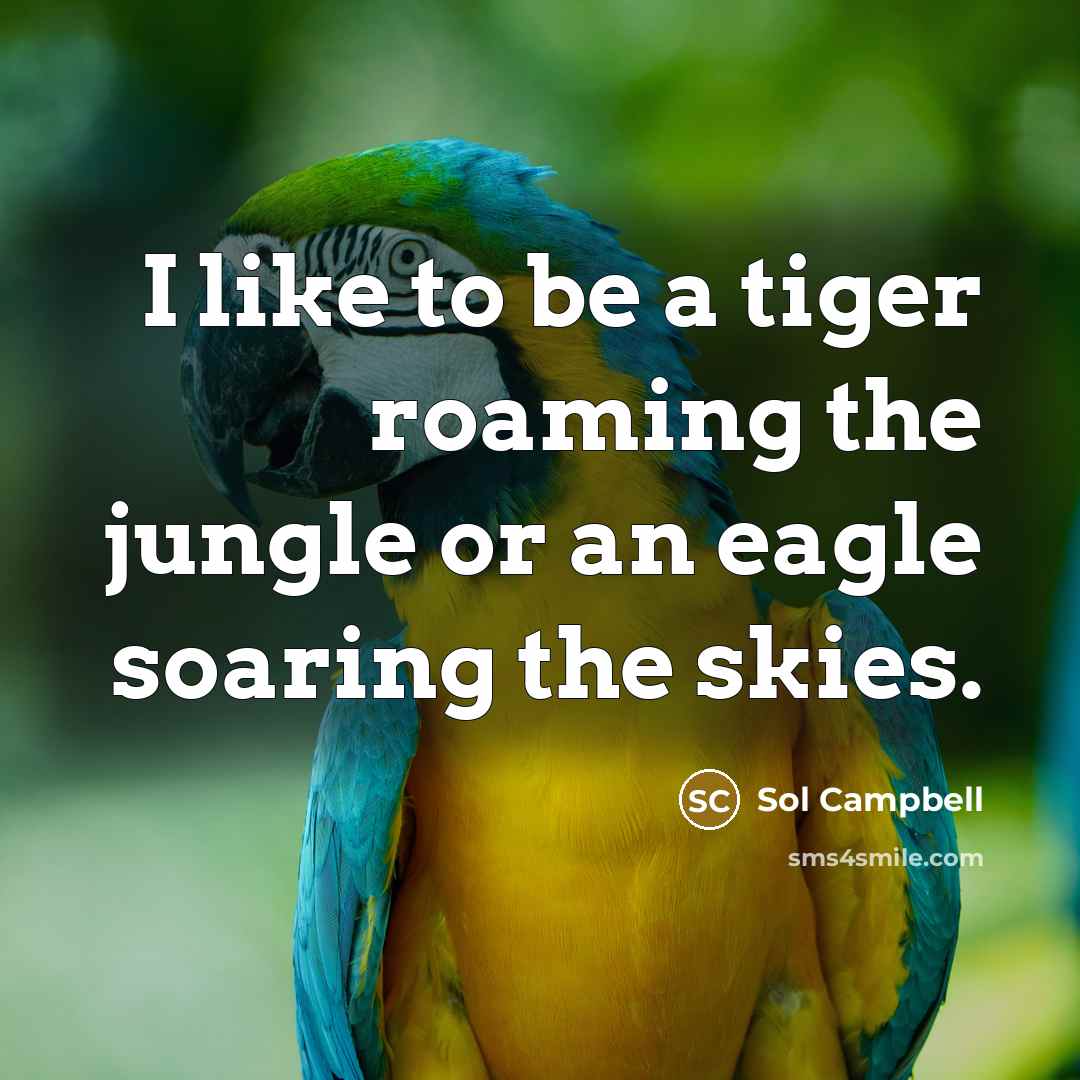 “I like to be a tiger roaming the jungle or…” quote by Sol Campbell
