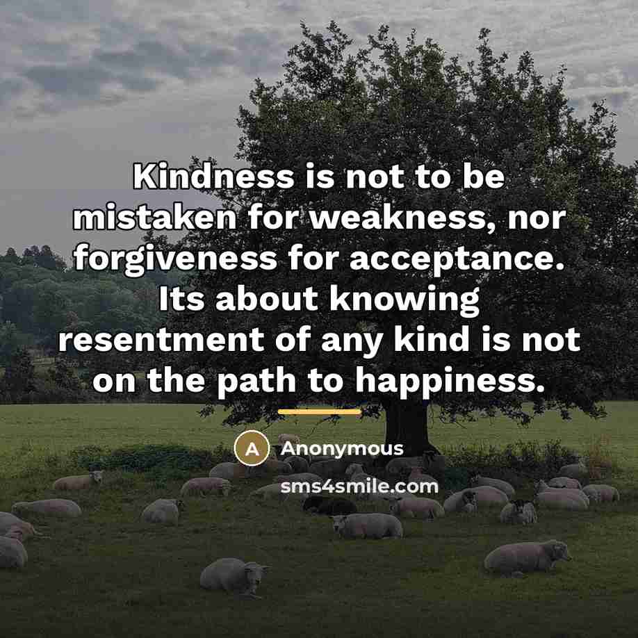 “Kindness is not to be mistaken for weakness, nor forgiveness…” quote by Anonymous