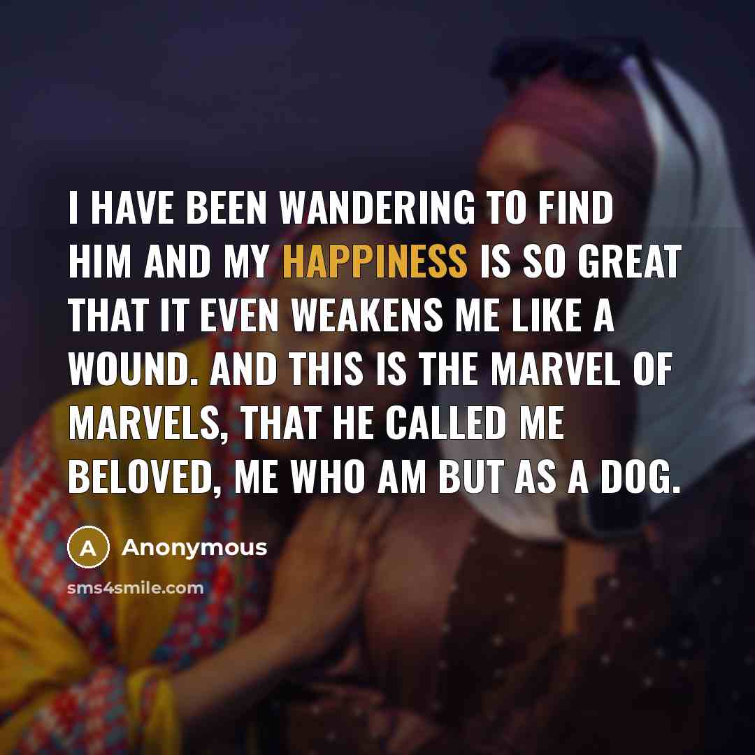 “I have been wandering to find him and my happiness…” quote by Anonymous