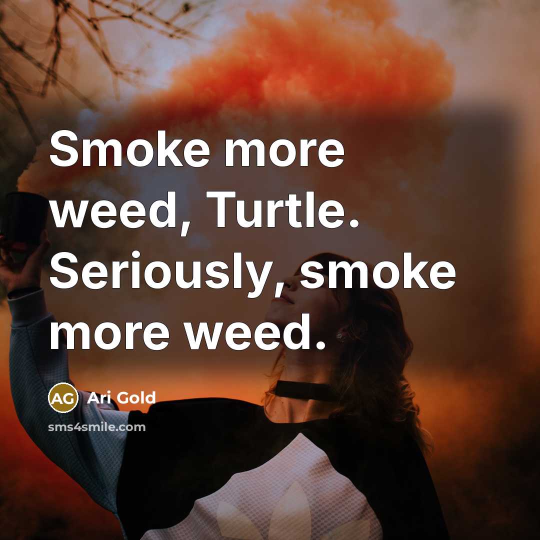 “Smoke more weed, Turtle. Seriously, smoke more weed.…” quote by Ari Gold