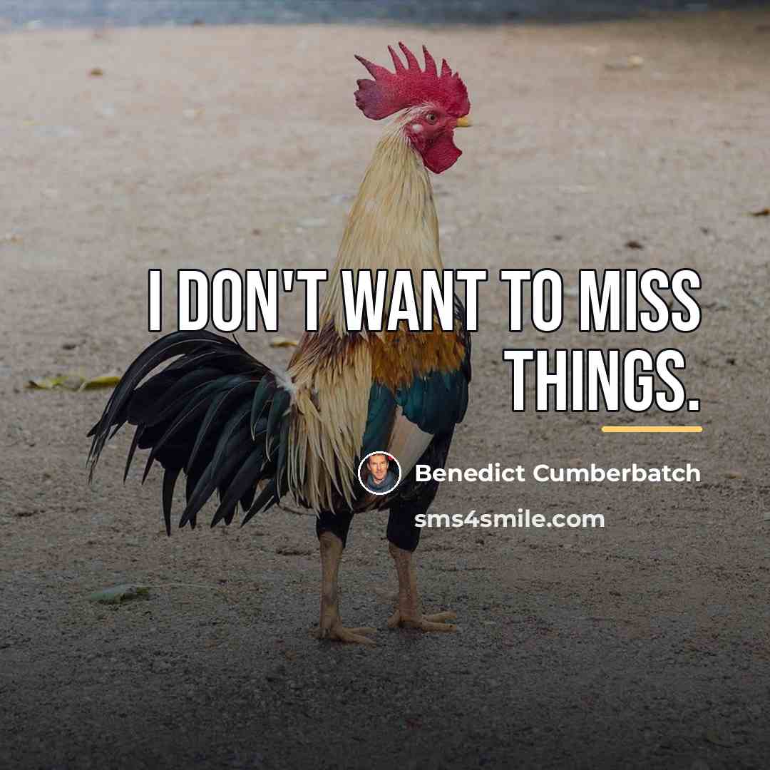 “I don't want to miss things.…” quote by Benedict Cumberbatch