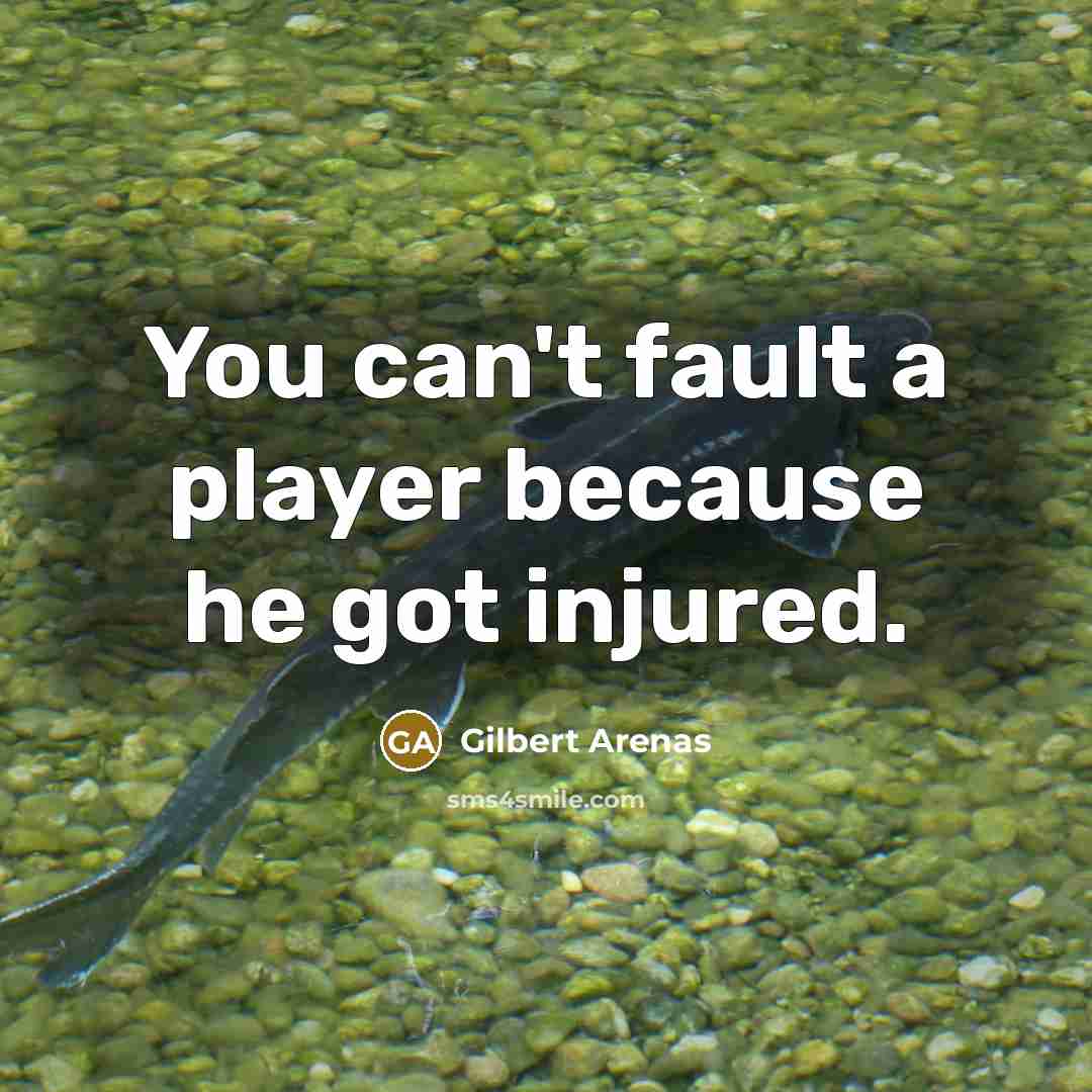 “You can't fault a player because he got injured.…” quote by Gilbert Arenas