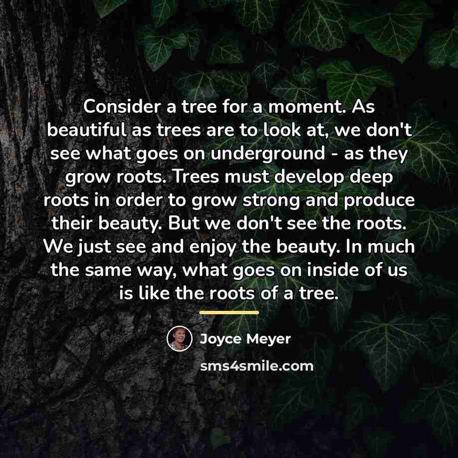 “Consider a tree for a moment. As beautiful as trees…” quote by Joyce Meyer