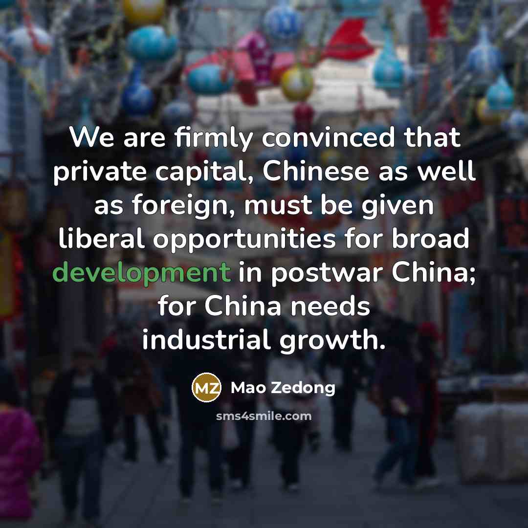 “We are firmly convinced that private capital, Chinese as well…” quote by Mao Zedong