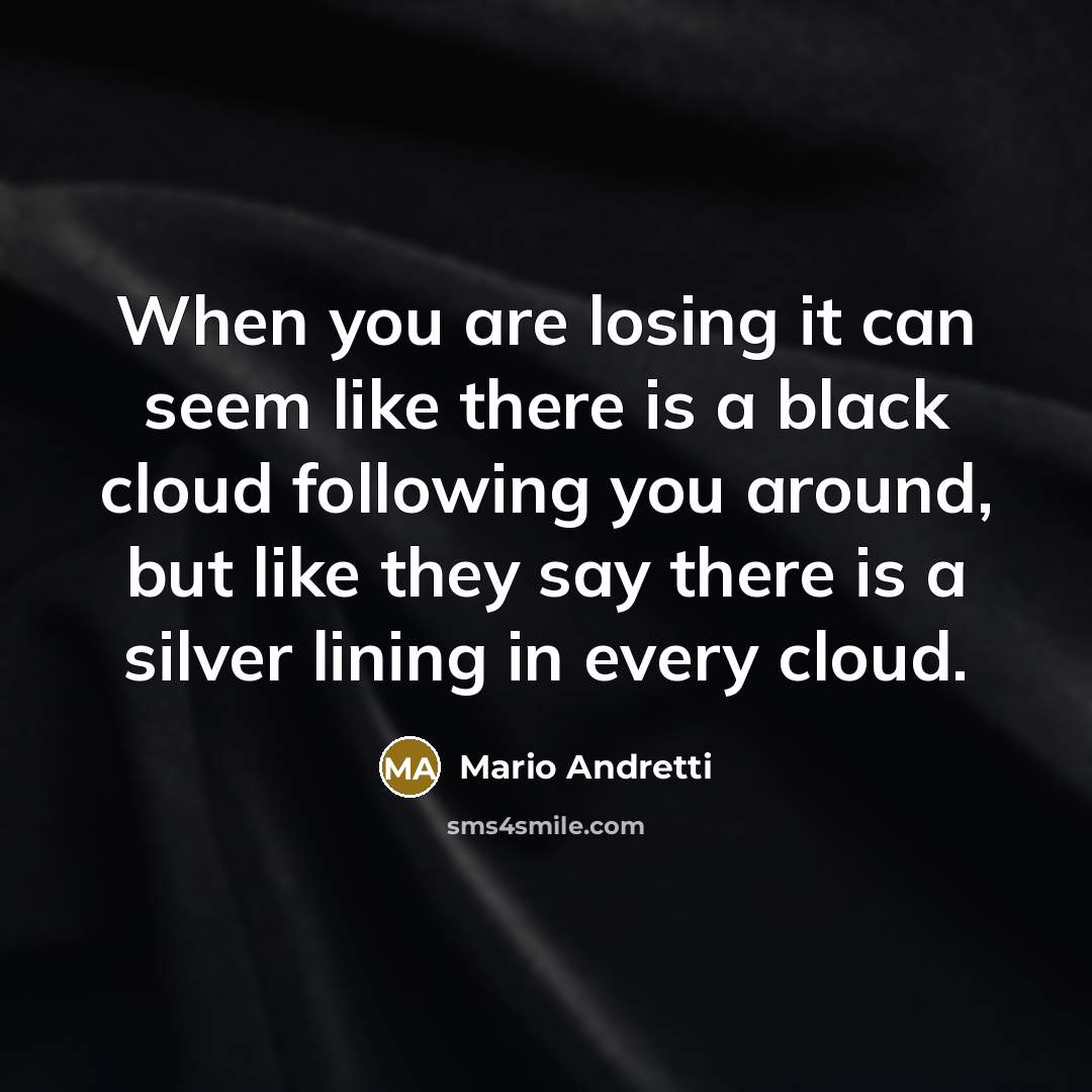 “When you are losing it can seem like there is…” quote by Mario Andretti