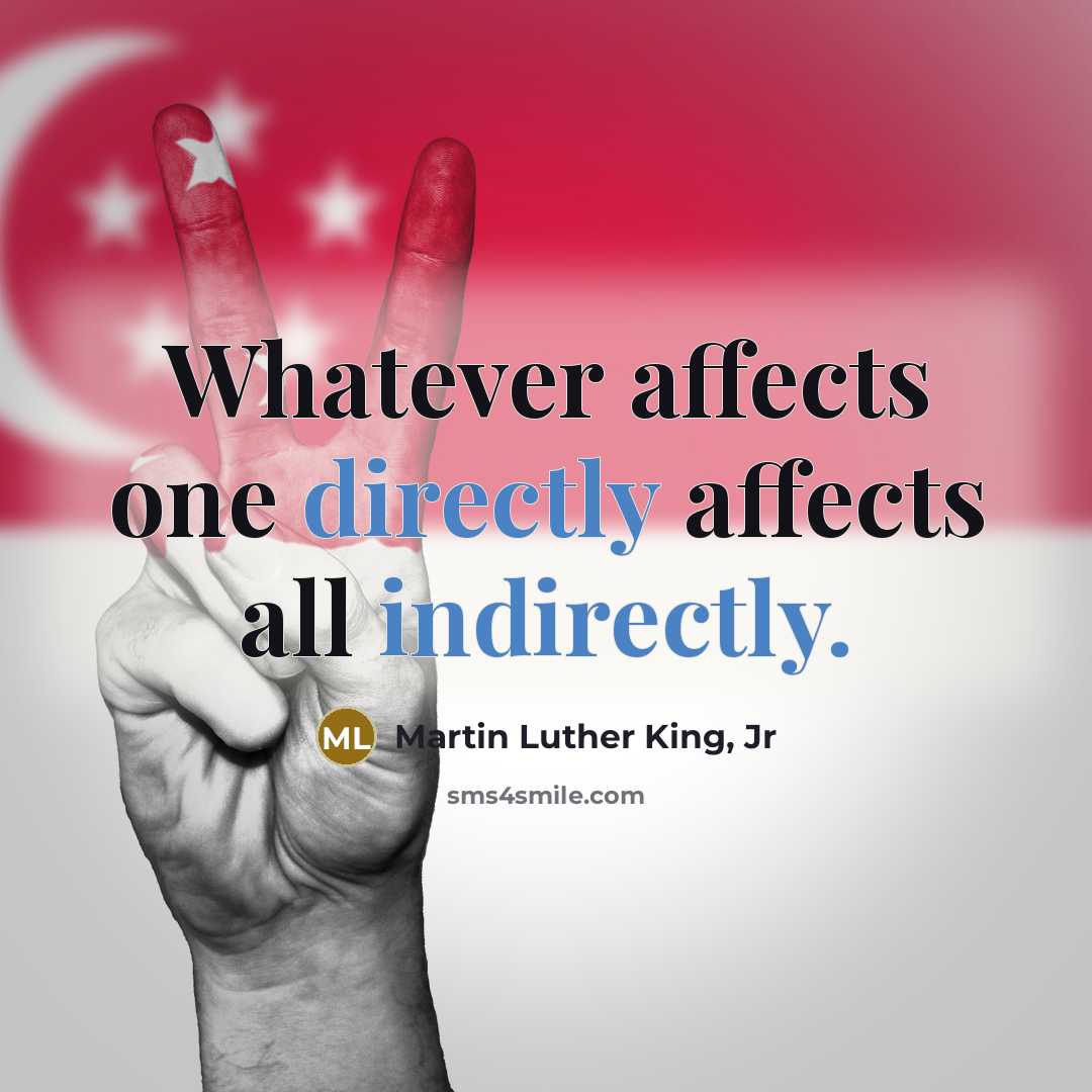 “Whatever affects one directly affects all indirectly.” quote by Martin Luther King, Jr
