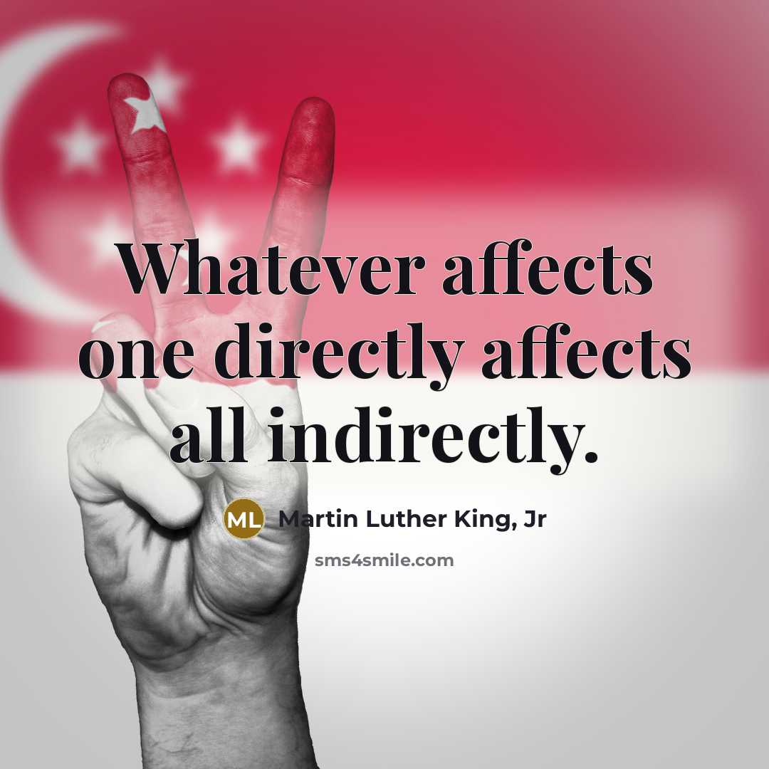 “Whatever affects one directly affects all indirectly.…” quote by Martin Luther King, Jr