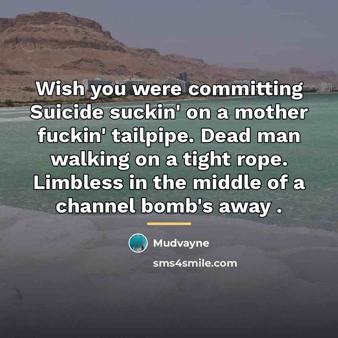 “Wish you were committing Suicide suckin' on a mother fuckin'…” quote by Mudvayne