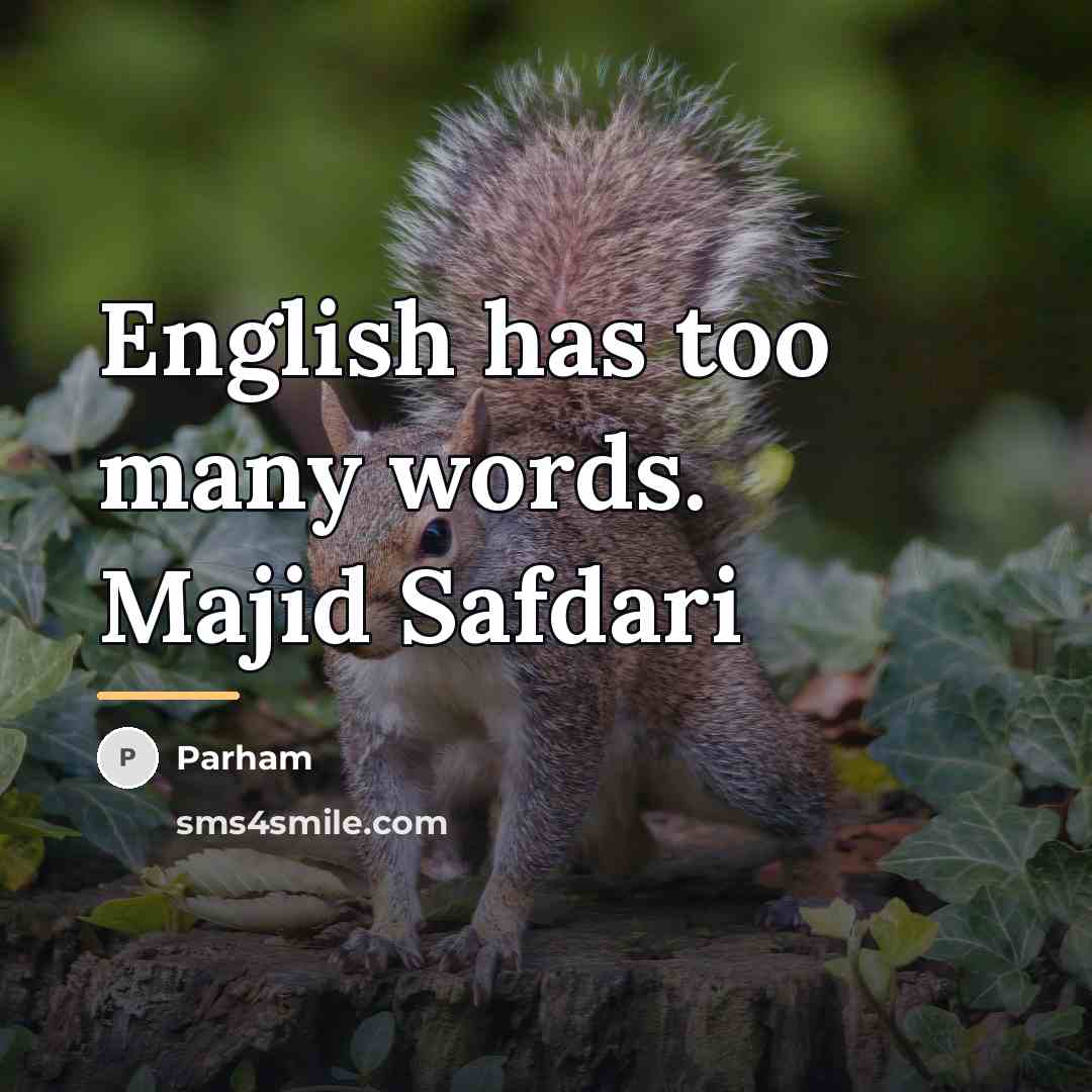 “English has too many words. Majid Safdari…” quote by Parham