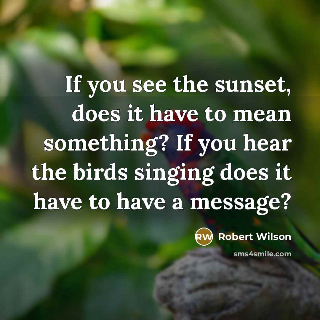 “If you see the sunset, does it have to mean something? If you hear the birds singing does it have to have a message?” quote by Robert Wilson