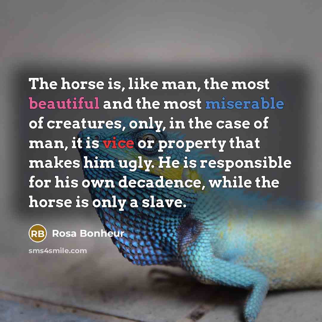 “The horse is, like man, the most beautiful and the…” quote by Rosa Bonheur