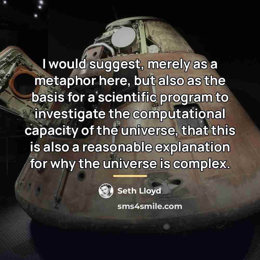 “I would suggest, merely as a metaphor here, but also…” quote by Seth Lloyd