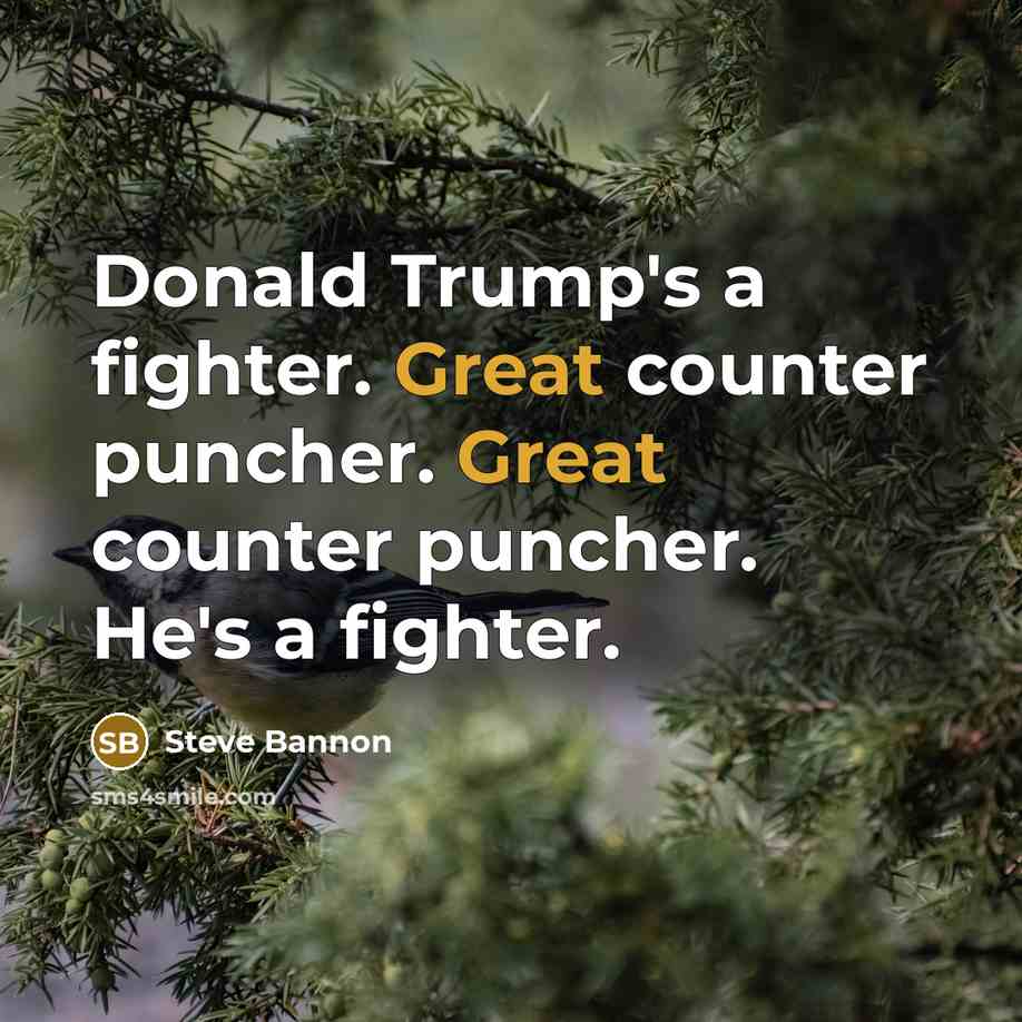 “Donald Trump's a fighter. Great counter puncher. Great counter puncher.…” quote by Steve Bannon