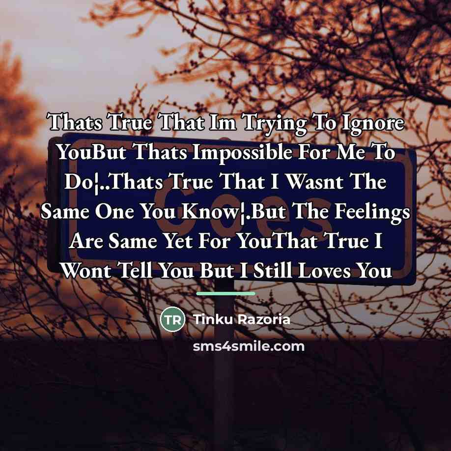 “Thats True That Im Trying To Ignore YouBut Thats Impossible…” quote by Tinku Razoria
