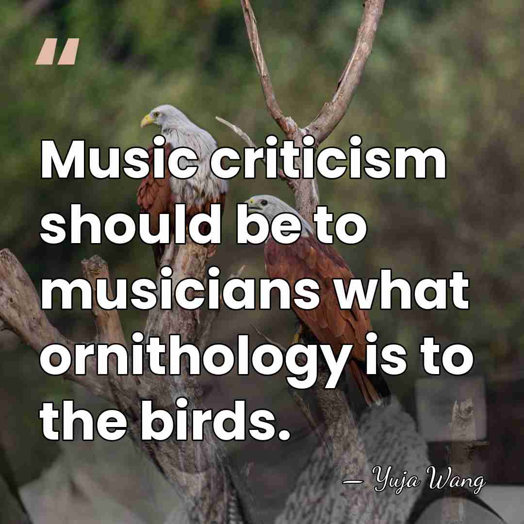 Music criticism should be to musicians what ornithology is to the birds. - Yuja Wang