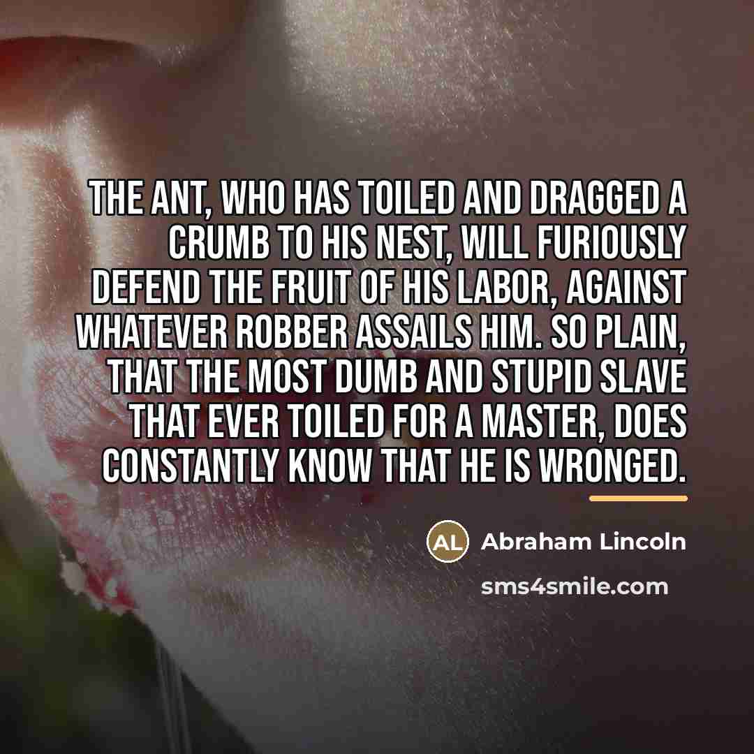 “The ant, who has toiled and dragged a crumb to…” quote by Abraham Lincoln