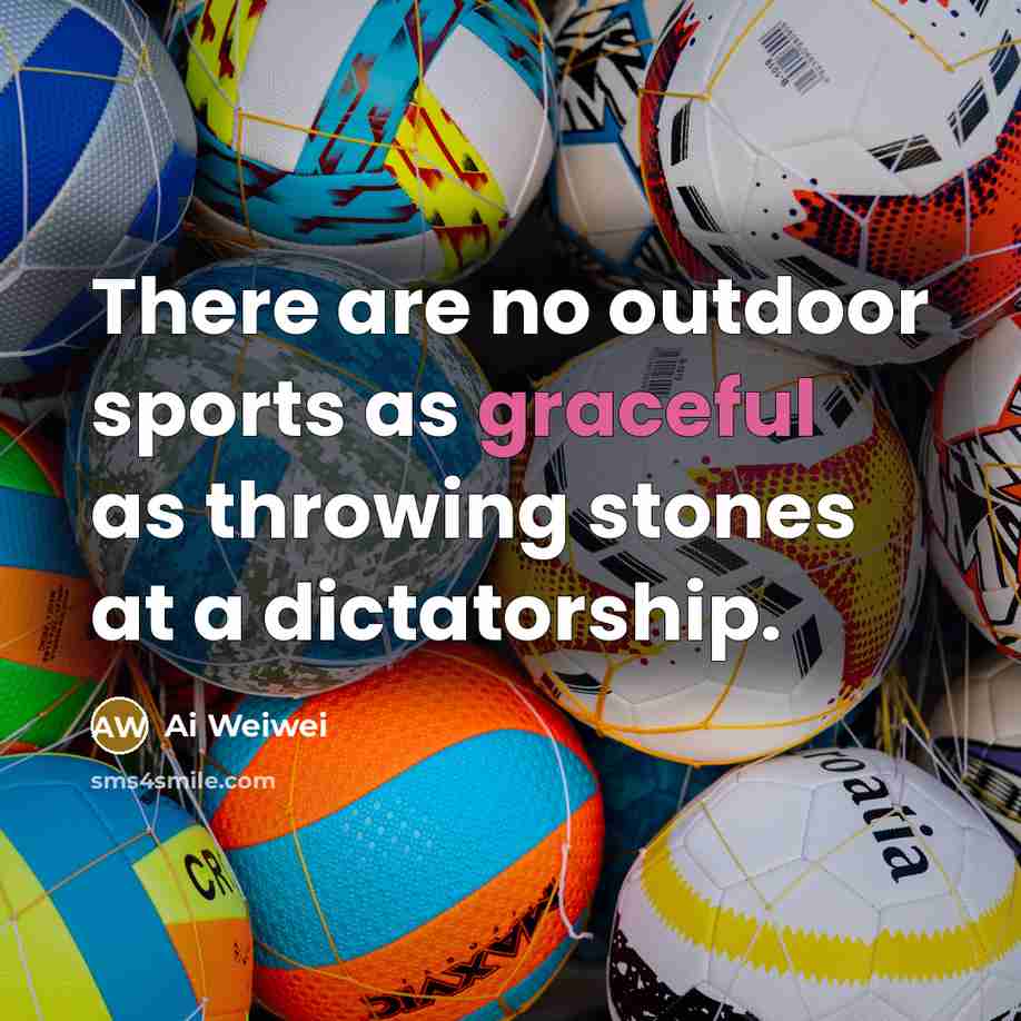 “There are no outdoor sports as graceful as throwing stones…” quote by Ai Weiwei