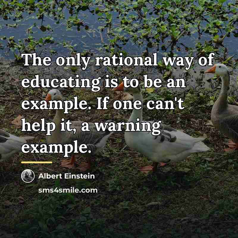 “The only rational way of educating is to be an…” quote by Albert Einstein