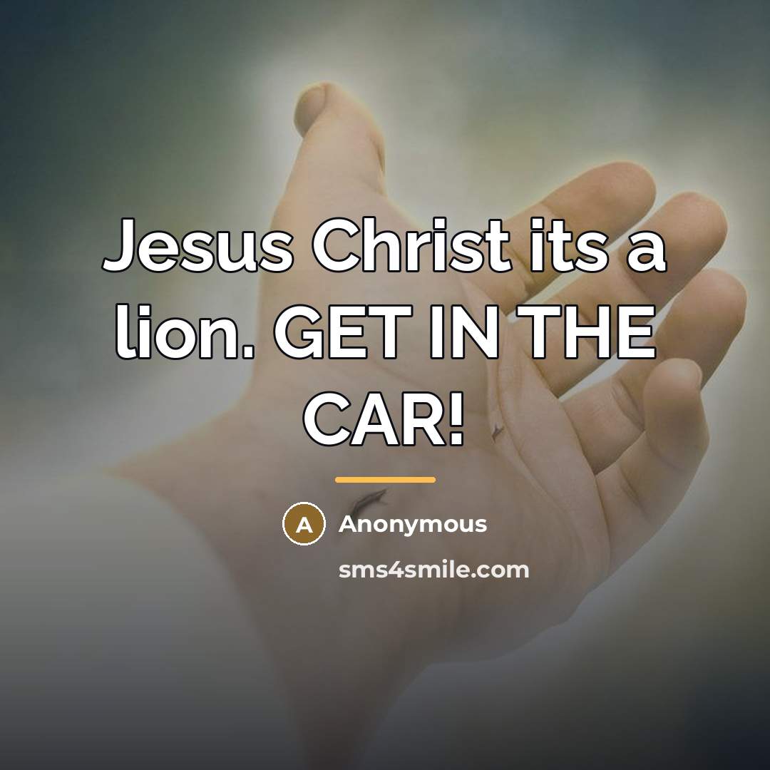 “Jesus Christ its a lion. GET IN THE CAR!…” quote by Anonymous