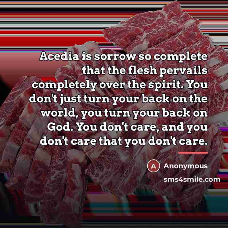 “Acedia is sorrow so complete that the flesh pervails completely…” quote by Anonymous