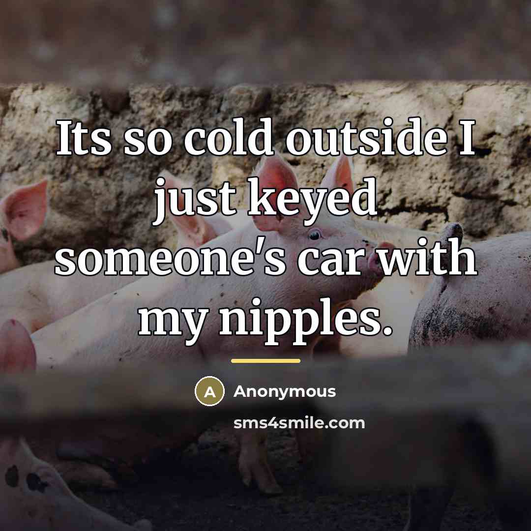 “Its so cold outside I just keyed someone's car with…” quote by Anonymous