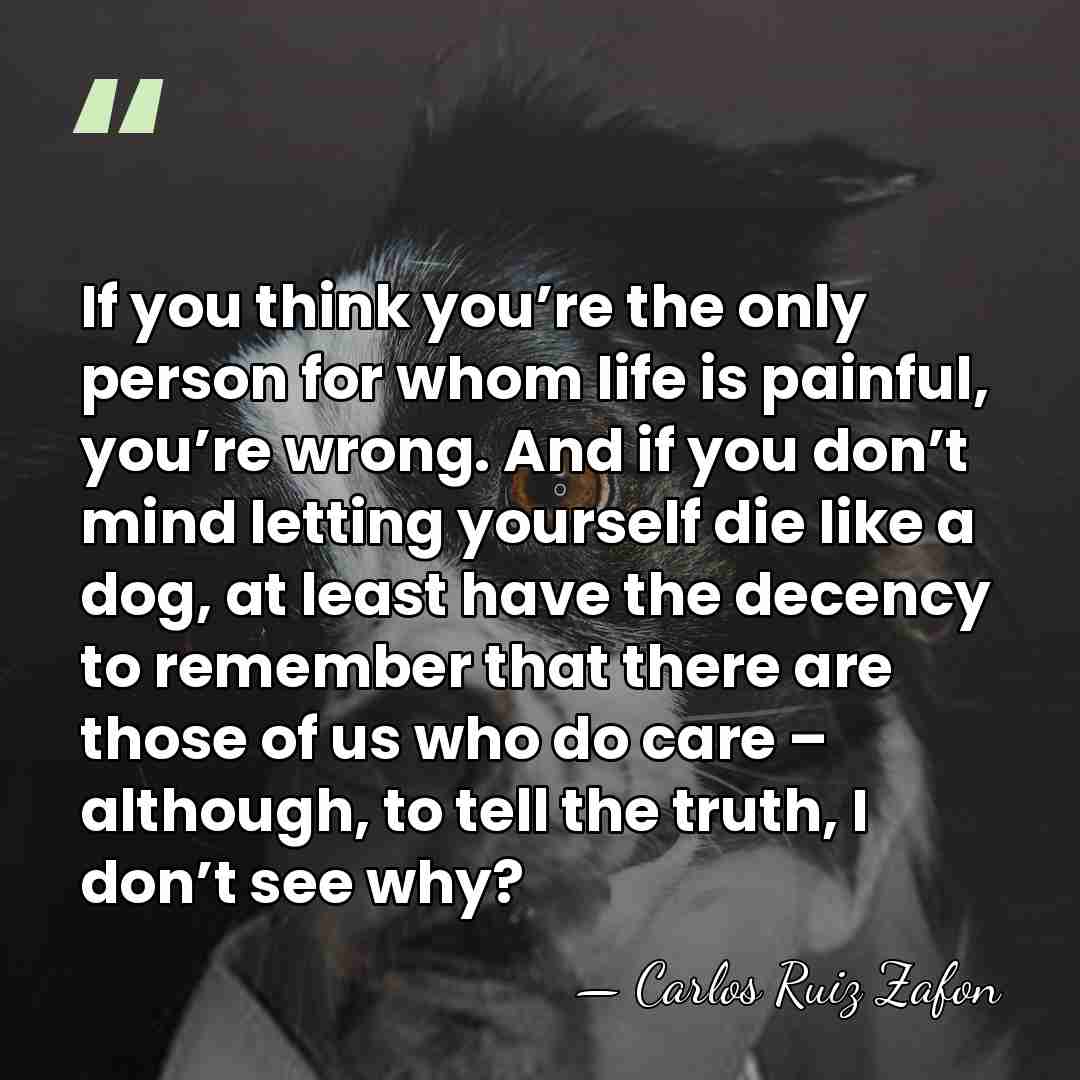 If you think you’re the only person for whom life is painful,&hellip; - Carlos Ruiz Zafon