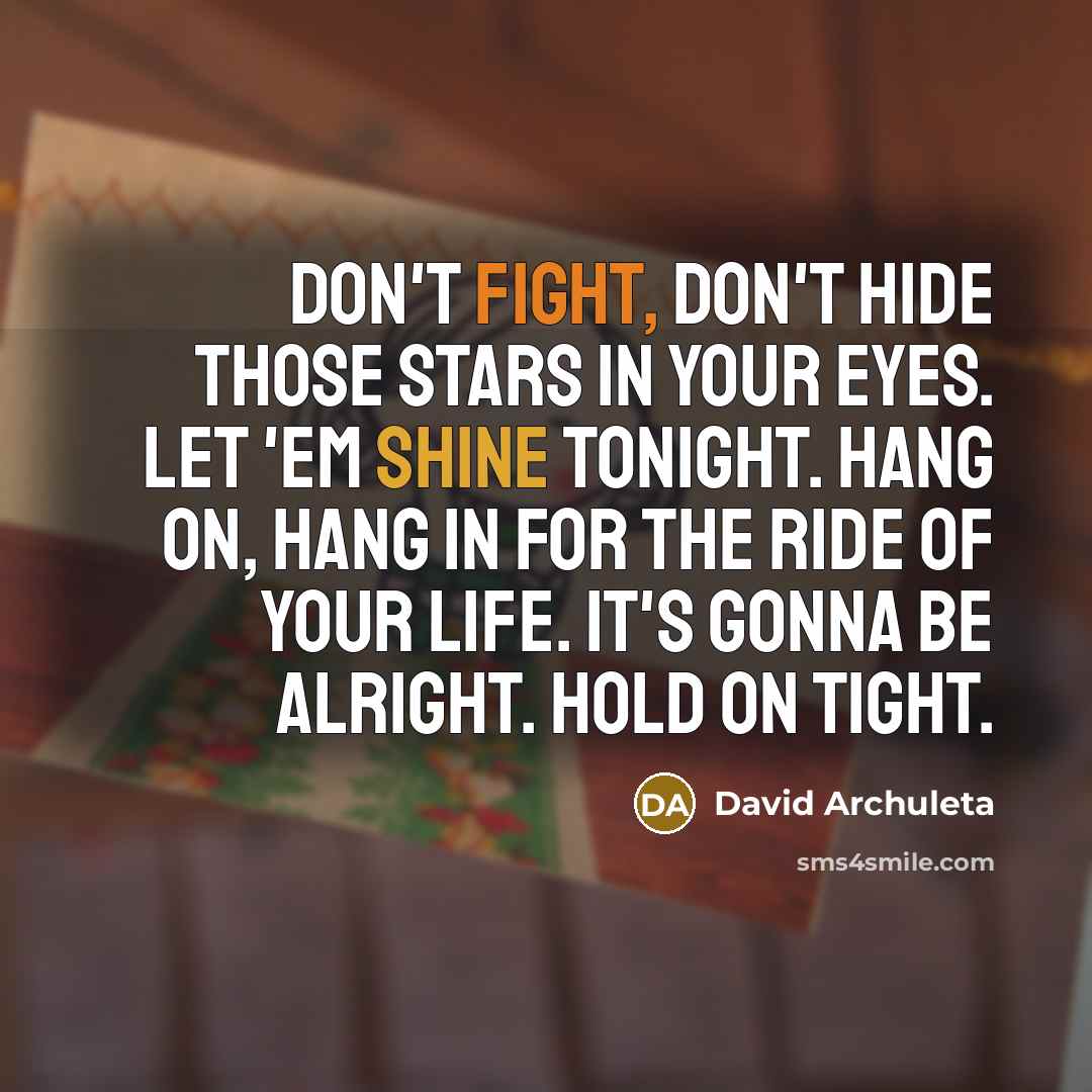 “Don't fight, don't hide those stars in your eyes. Let 'em shine tonight. Hang on, hang in for the ride of your life. It's gonna be alright. Hold on tight.” quote by David Archuleta