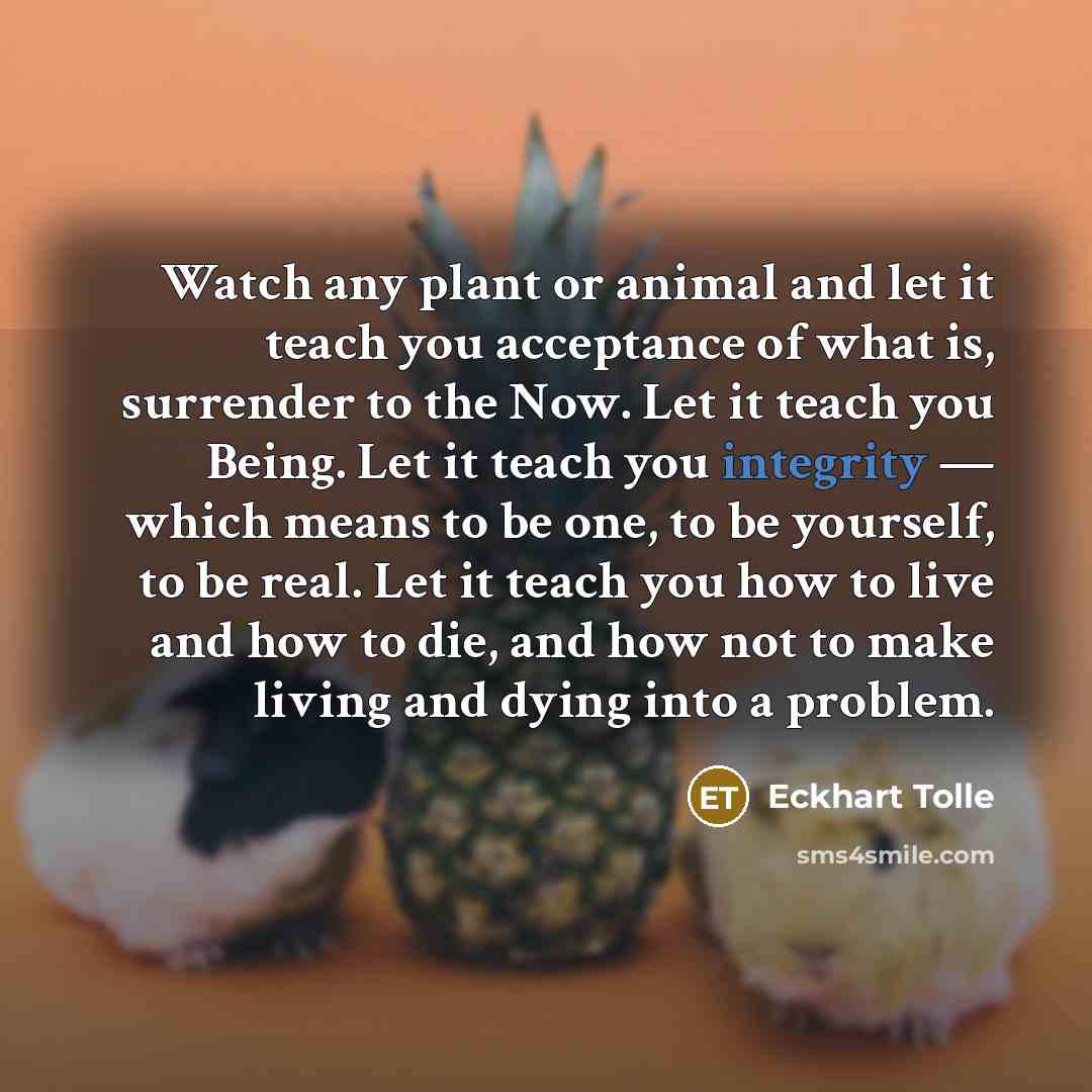“Watch any plant or animal and let it teach you…” quote by Eckhart Tolle