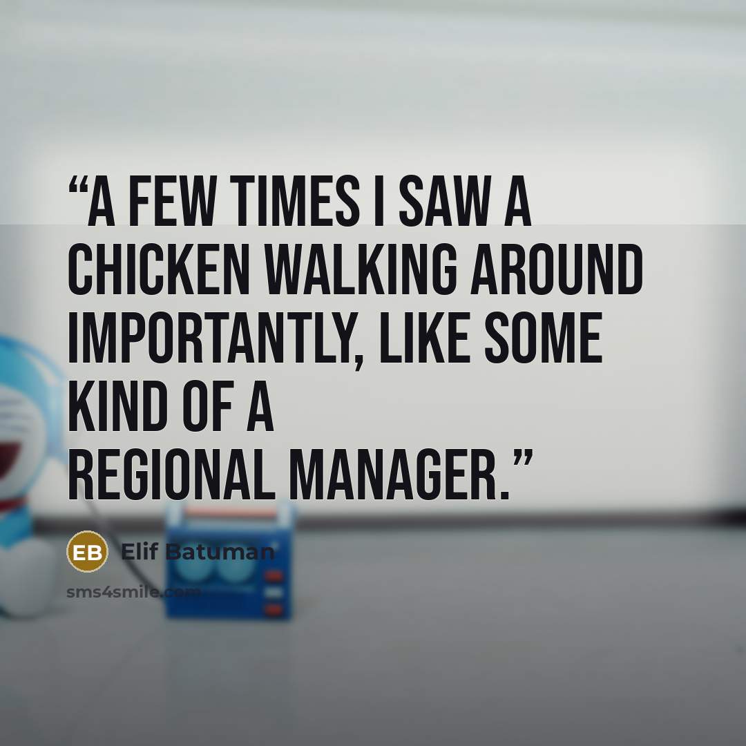 “A few times I saw a chicken walking around importantly, like some kind of a regional manager.” quote by Elif Batuman