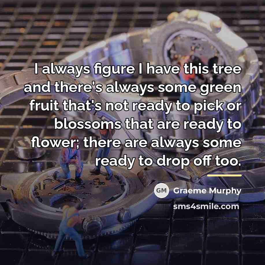 “I always figure I have this tree and there's always…” quote by Graeme Murphy