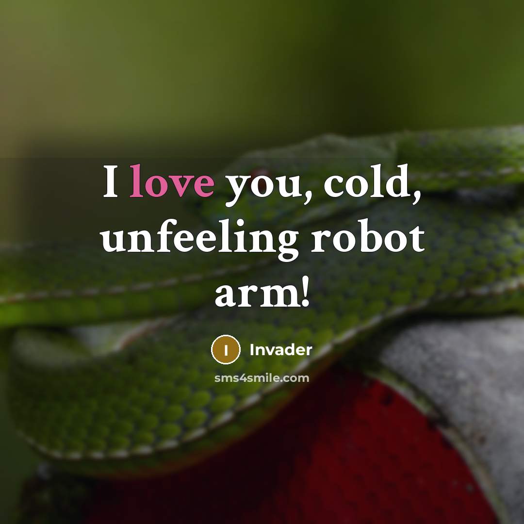 “I love you, cold, unfeeling robot arm!…” quote by Invader