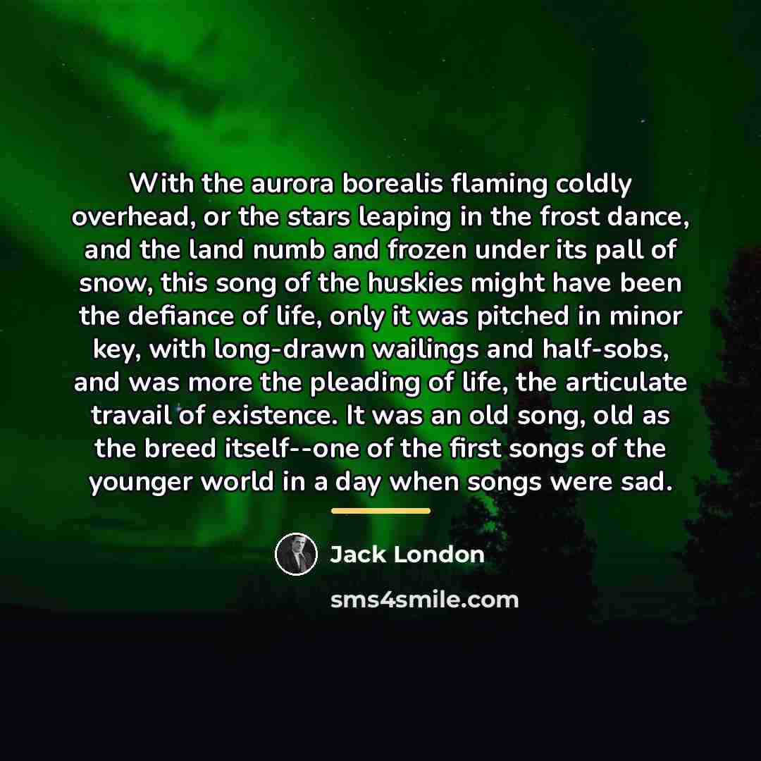 “With the aurora borealis flaming coldly overhead, or the stars…” quote by Jack London